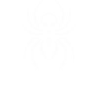 spiderblitz.com